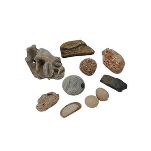 Lot 10 Rocks Stones Fossils USA Standstone Pumice Hag Beach Lava Assorted